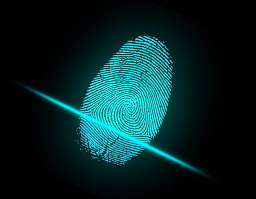 Forensic Analysis