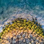 How Early Should You Book 2026 Entry to Popular Reef Beach