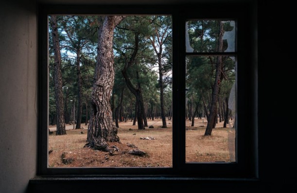 Signs That Window Glass Needs Attention