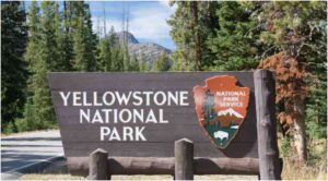 What to Expect During Your First Visit to the Park