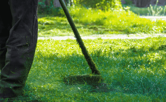 The Difference Between Green Grass and Healthy Turf