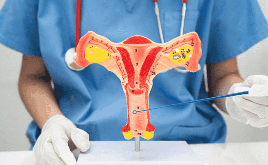 Vaginal Laxity Linked to Childbirth or Natural Aging